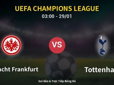 Kết Quả: Eintracht Frankfurt 0-2 Tottenham – Highlight & Bàn Thắng | UEFA Champions League