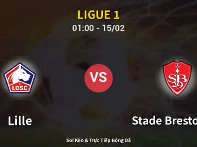 Kết Quả: Lille 1-1 Stade Brestois 29 – Highlight & Bàn Thắng | Ligue 1