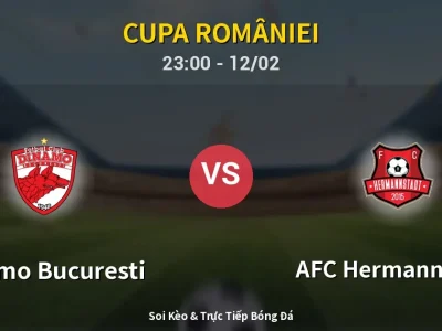 Soi Kèo Dinamo Bucuresti vs AFC Hermannstadt – 23:00 12/02 | Nhận Định, Dự Đoán Tỷ Số
