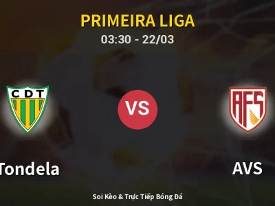 Kết Quả: Tondela 0-0 AVS – Highlight & Bàn Thắng | Primeira Liga