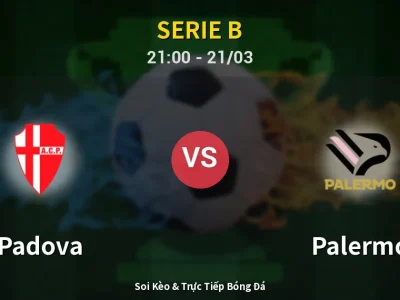🔴 Trực Tiếp: Padova 0-0 Palermo – Link Xem Serie B (Full HD)