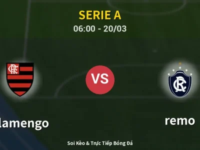 Kết Quả: Flamengo 3-0 remo – Highlight & Bàn Thắng | Serie A