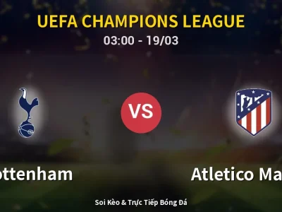 Kết Quả: Tottenham 3-2 Atletico Madrid – Highlight & Bàn Thắng | UEFA Champions League