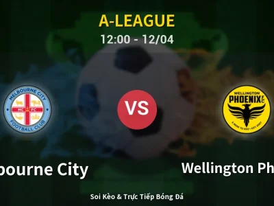 Kết Quả: Melbourne City 2-0 Wellington Phoenix – Highlight & Bàn Thắng | A-League