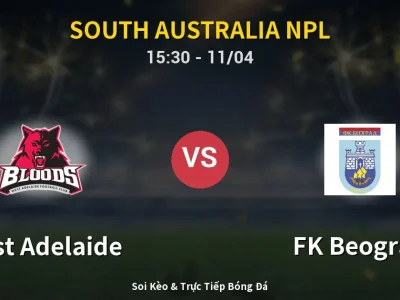 Soi Kèo West Adelaide vs FK Beograd – 15:30 11/04 | Nhận Định, Dự Đoán Tỷ Số